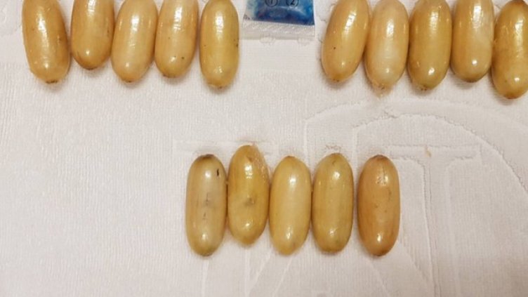 Снимка: архив, БГНЕС