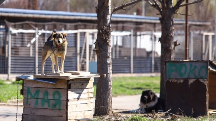 Снимка БГНЕС