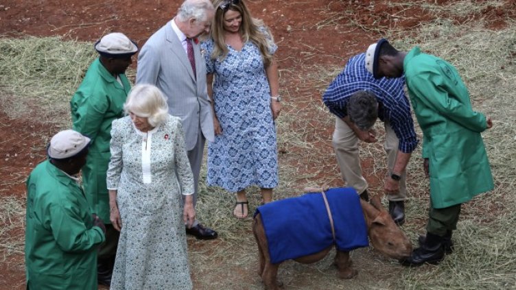 Снимка БГНЕС