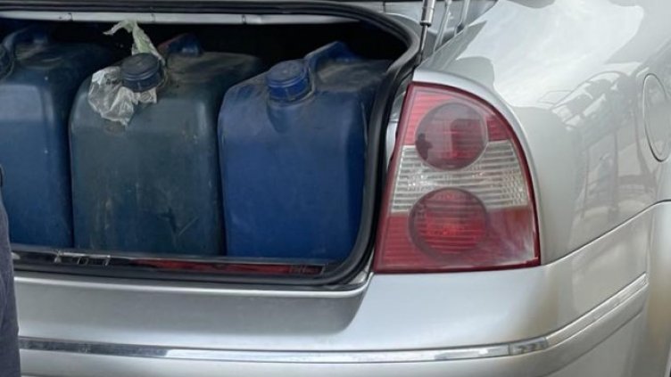 Снимка: БГНЕС, архив