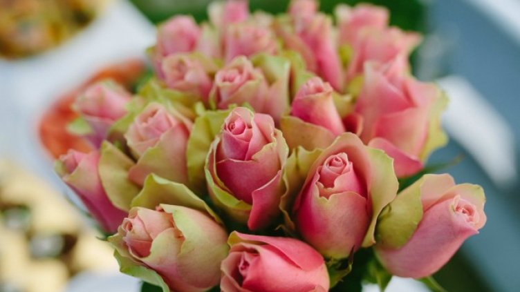 Снимка: Envato