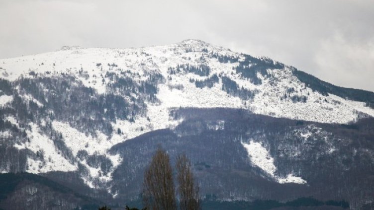 Снимка БГНЕС, архив