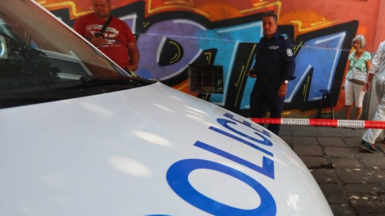 Снимка: Димитър Кьосемарлиев, Dnes.bg