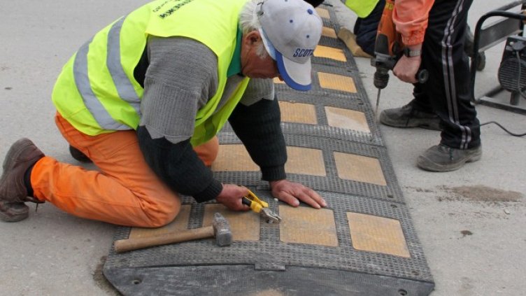 Снимка БГНЕС, архив