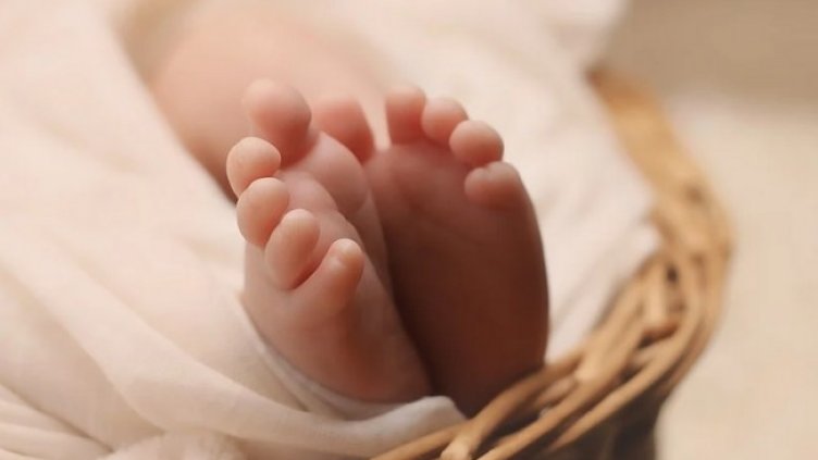 Снимка: Pixabay