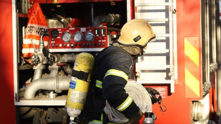 БГНЕС, архив