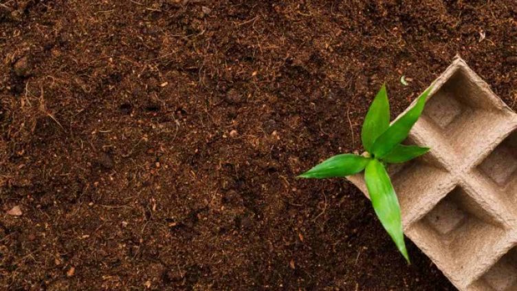 Снимка: freepik.com