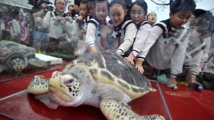 Снимка БГНЕС