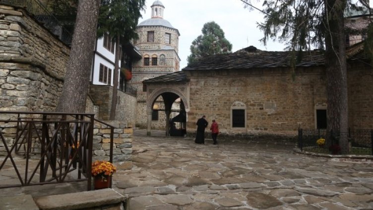 Снимка БГНЕС