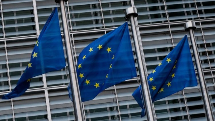 Снимка: архив, БГНЕС