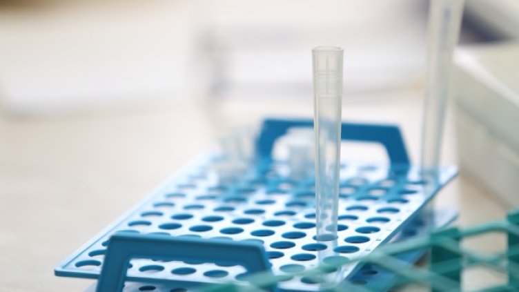 Снимка: архив, БГНЕС