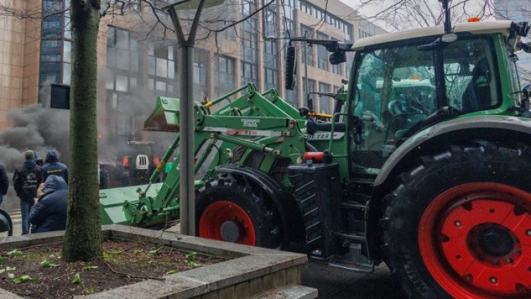 Снимка: архив, БГНЕС