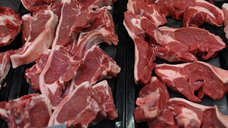 Снимка: архив, БГНЕС