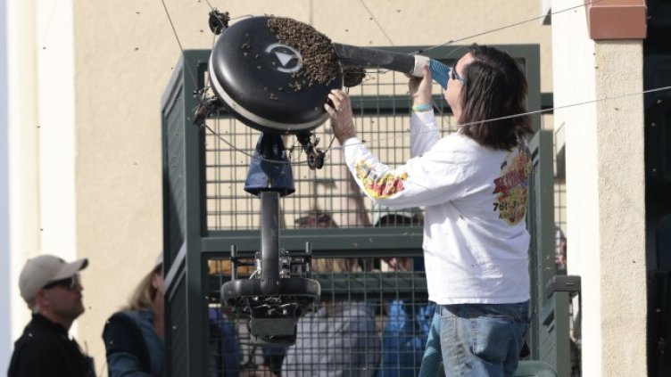 Снимка БГНЕС