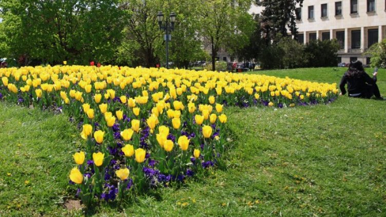 Снимка: БГНЕС