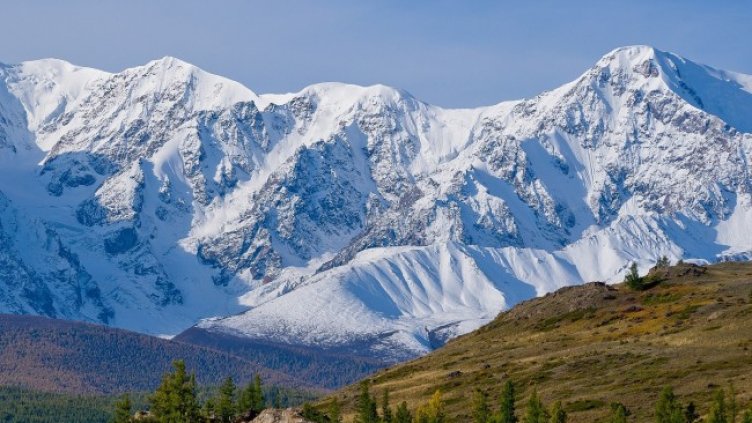 Снимка: Pixabay