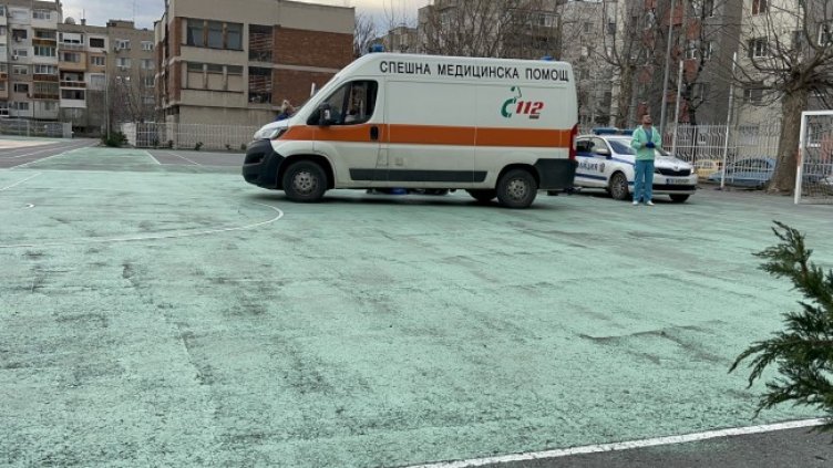 Снимка: БГНЕС