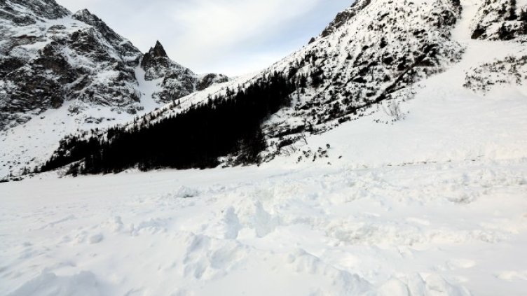 Снимка: архив, БГНЕС