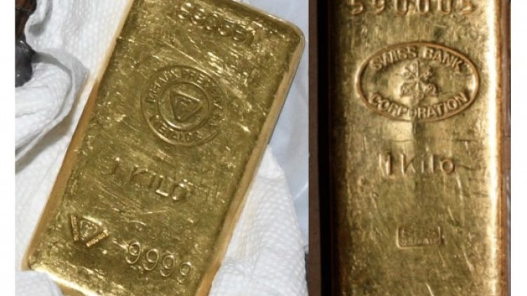 Снимка: архив, БГНЕС