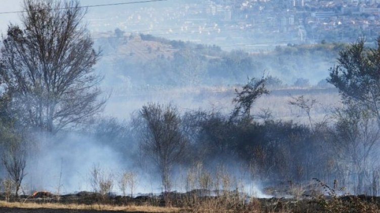 Снимка: БГНЕС, архив