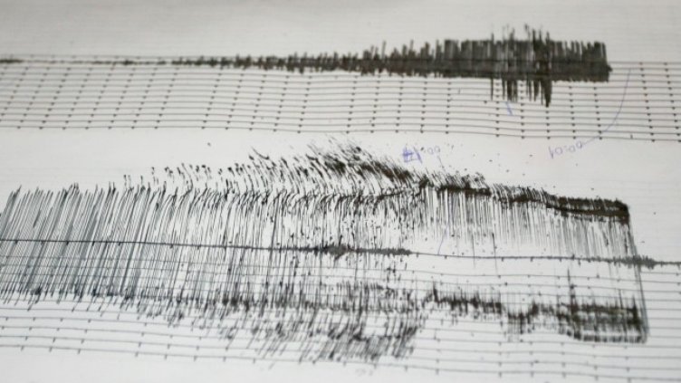Снимка: архив, БГНЕС