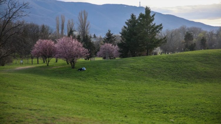 Снимка: БГНЕС