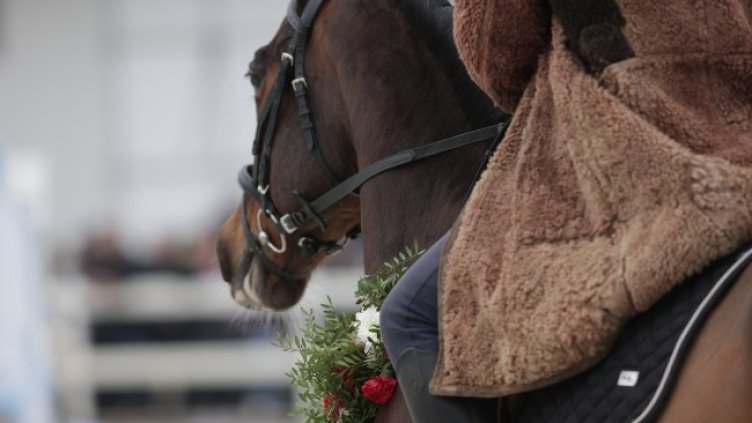 Снимка: архив, БГНЕС
