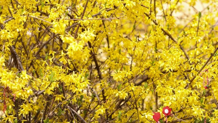 Снимка: архив, БГНЕС