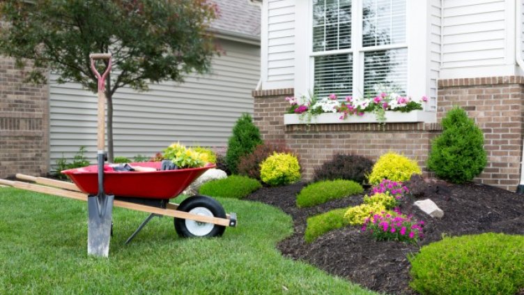 Снимка: Istock