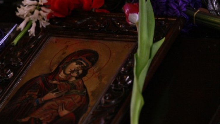 Снимка: архив, БГНЕС