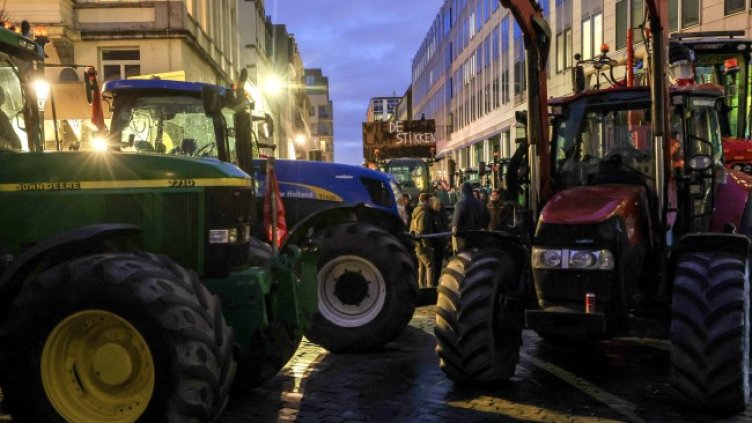 Снимка: архив, БГНЕС