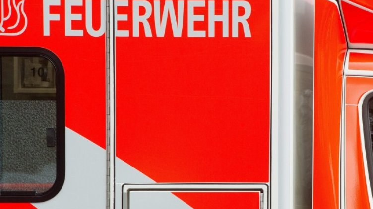 Снимка: архив, БГНЕС