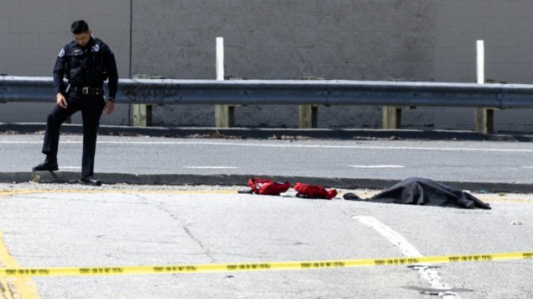 Снимка: архив, БГНЕС