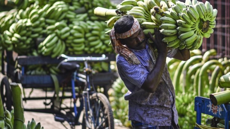 Снимка БГНЕС