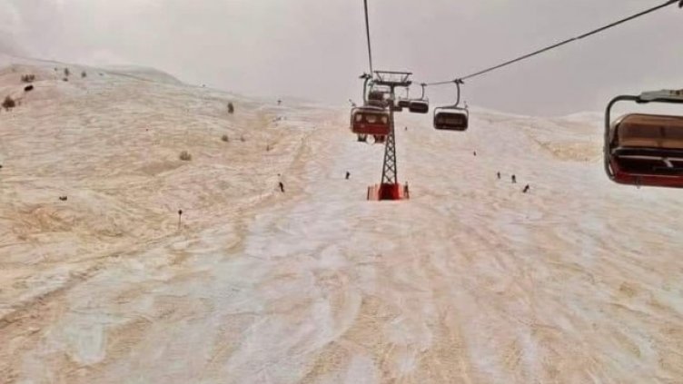 Снимка: Twitter