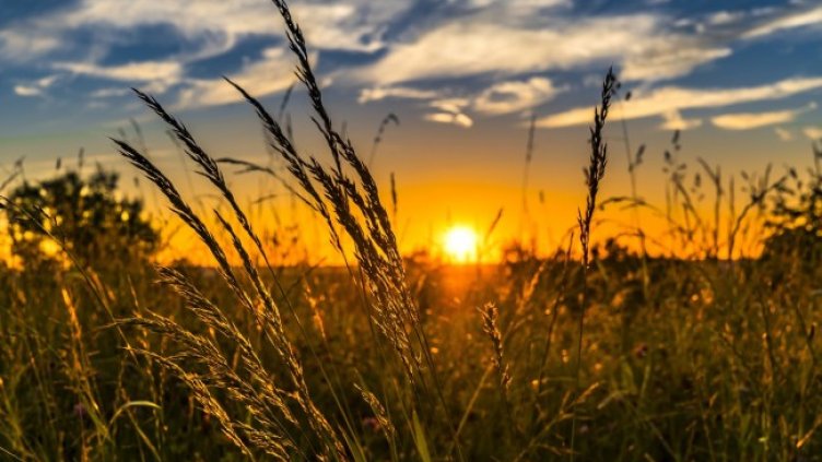 Снимка: Pixabay/FelixMittermeier