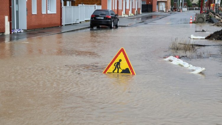Снимка: архив, БГНЕС