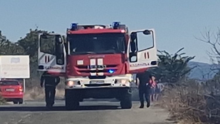 Снимка: БГНЕС