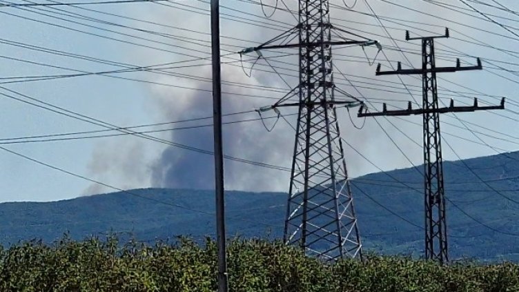 Снимка: БГНЕС