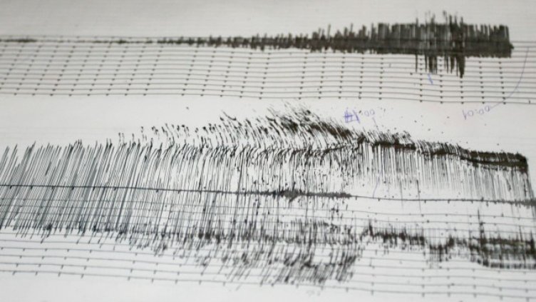 Снимка: архив, БГНЕС