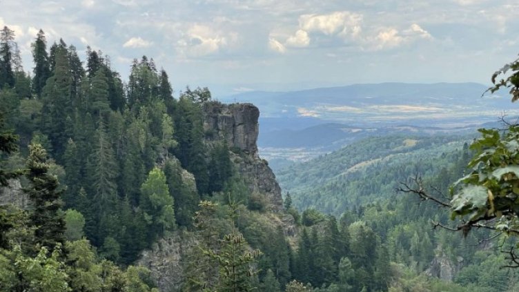 Снимка: БГНЕС