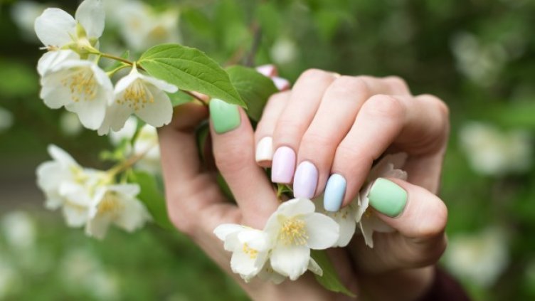 Снимка: iStock/SomeMeans