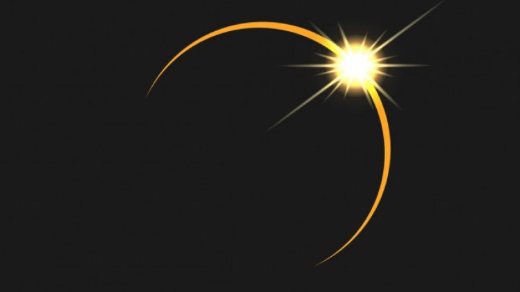 Снимка: iStock/Mikhail Sokolov