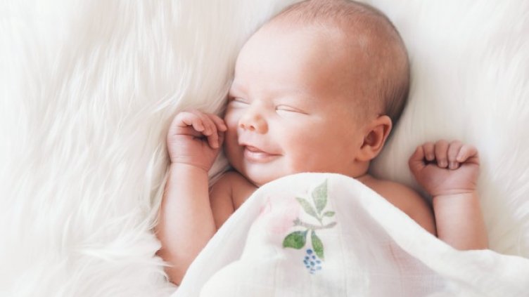 Снимка: Istock