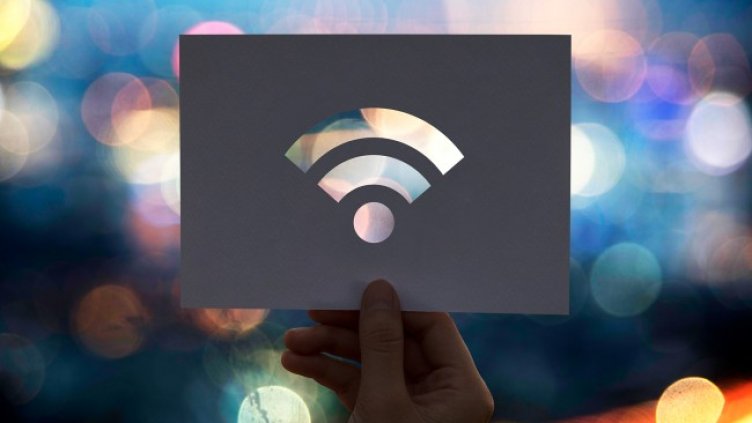 Снимка: Envato