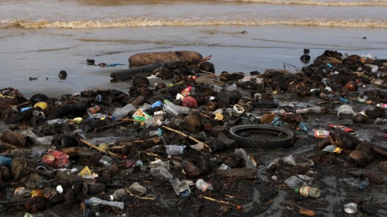 Снимка: архив, БГНЕС