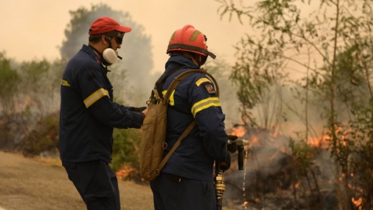 Снимка: архив, БГНЕС