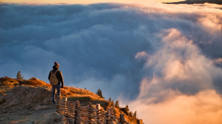 Снимка: Pixabay