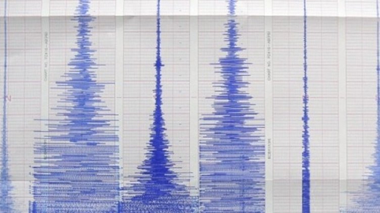 Снимка: БГНЕС, архив