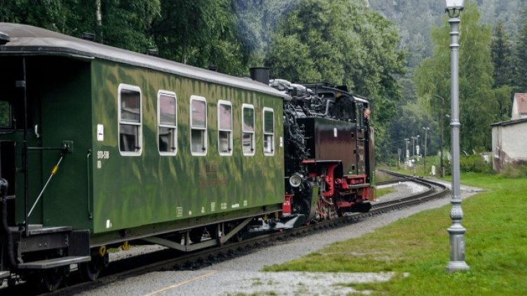 Снимка: Ralf Pilz от Pixabay